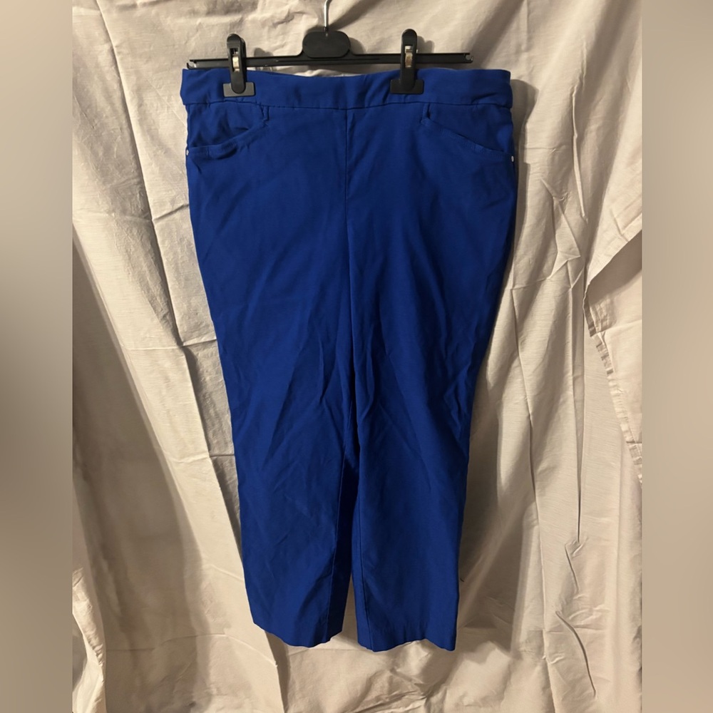 Rafaella Deep Blue Pants